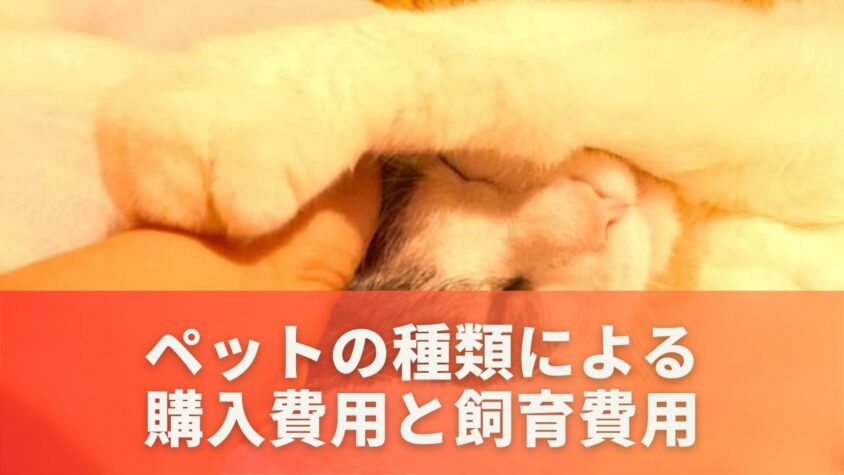 ペットの種類による購入費用と飼育費用