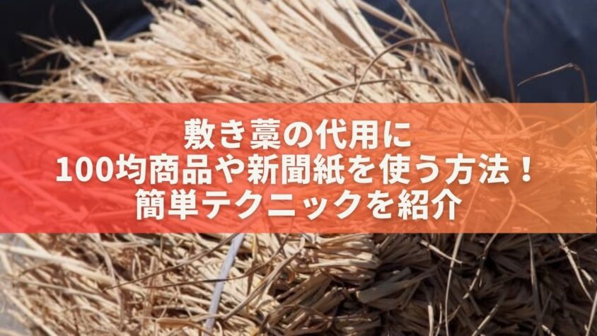 敷き藁の代用に100均商品や新聞紙を使う方法！簡単テクニックを紹介