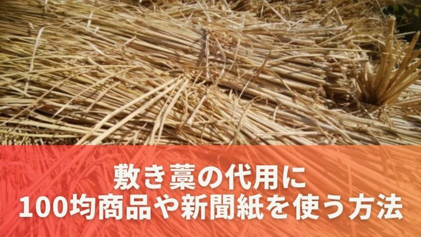 敷き藁の代用に100均商品や新聞紙を使う方法