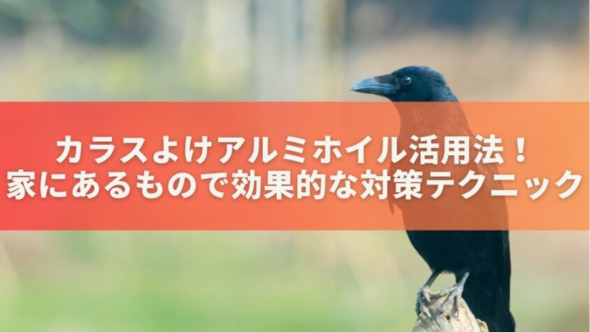 カラスよけアルミホイル活用法！家にあるもので効果的な対策テクニック