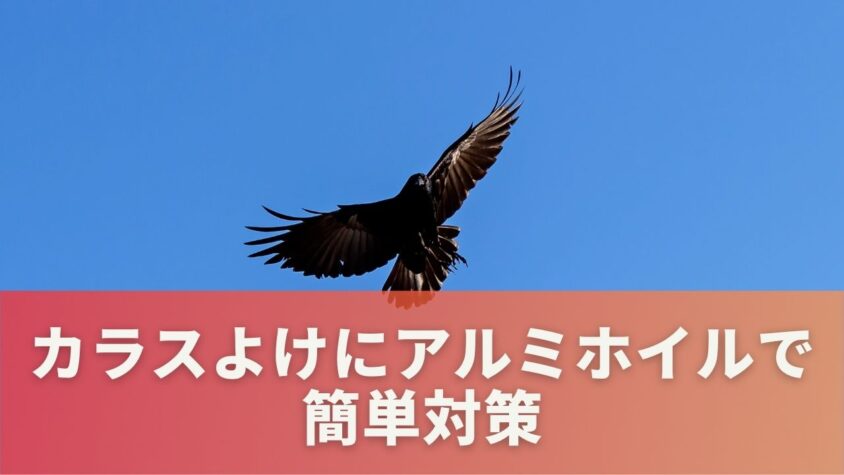 カラスよけアルミホイル活用法で簡単対策