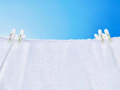 加湿器代わりにコップや濡れタオルで乾燥対策 簡単に湿度を上げる方法は