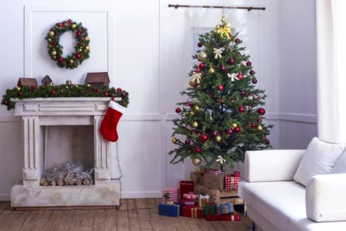 クリスマスツリーがもみの木の理由はなぜ 販売店舗や代用できる木は